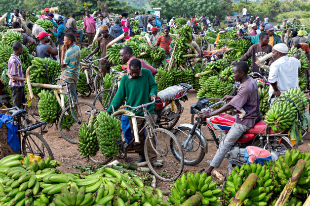 uganda farming