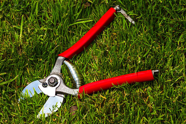 Bypass Pruners